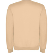 Clasica detský sveter s výstrihom crewneck - Roly