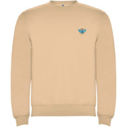 Clasica detský sveter s výstrihom crewneck - Roly