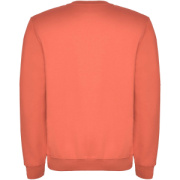 Clasica detský sveter s výstrihom crewneck - Roly
