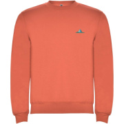 Clasica detský sveter s výstrihom crewneck - Roly