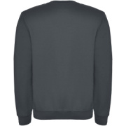 Clasica detský sveter s výstrihom crewneck - Roly