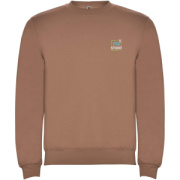 Clasica detský sveter s výstrihom crewneck - Roly
