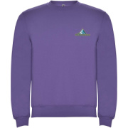 Clasica detský sveter s výstrihom crewneck - Roly