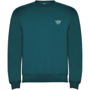 Clasica detský sveter s výstrihom crewneck - Roly