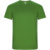 Imola pánské sportovní tričko s krátkým rukávem - Roly, farba - green fern, veľkosť - 3XL