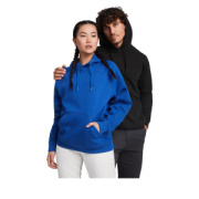 Vinson unisex mikina s kapucňou - Roly