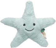 RecycleStarfish