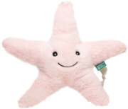 RecycelStarfish