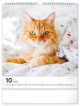 Nástenný kalendár Mačky 2025, 30 × 34 cm