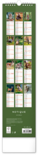 Nástenný kalendár Lesní zvěř – Lesná zver CZ/SK 2025, 12 × 48 cm