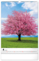 Nástenný kalendár Stromy 2025, 33 × 46 cm