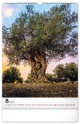Nástenný kalendár Stromy 2025, 33 × 46 cm