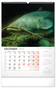 NOTIQUE Nástenný kalendár Rybársky 2025, 33 x 46 cm