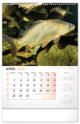 NOTIQUE Nástenný kalendár Rybársky 2025, 33 x 46 cm
