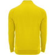 Epiro unisex mikina s dlhým rukávom a štvrtinovým zipsom - Roly