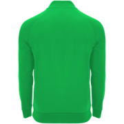 Epiro unisex mikina s dlhým rukávom a štvrtinovým zipsom - Roly