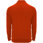 Epiro detská mikina s dlhým rukávom a štvrtinovým zipsom - Roly