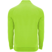 Epiro detská mikina s dlhým rukávom a štvrtinovým zipsom - Roly