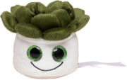 Schmoozies® Evergreenies® Succulent