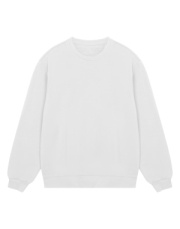 Pánska Regular mikina