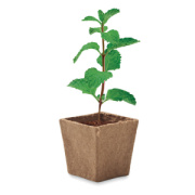 Sada na pestovanie mäty MINT KIT
