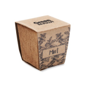 Sada na pestovanie mäty MINT KIT