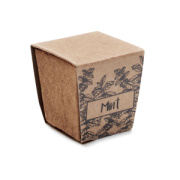 Sada na pestovanie mäty MINT KIT