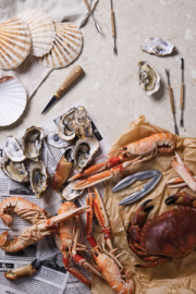 VINGA Story of seafood - Vinga