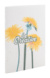 CreaNote Plus A6 Seed zošit zo semenného papiera na mieru, farba - white, veľkosť - 105×146×4 mm