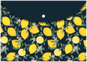 Púzdro na dokumenty A5 Fresh