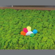 Zvýrazňovač kvetina - M-Collection