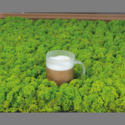 Transparentne matný hrnček, 300 ml - M-Collection