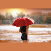 Dáždnik s dreveným držadlom - M-Collection