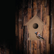 Vtáčia búdka - M-Collection