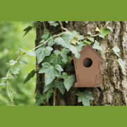 Vtáčia búdka - M-Collection