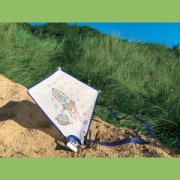 Šarkan omaľovánka - M-Collection