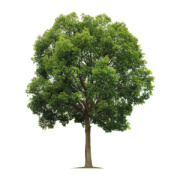 ELITE drevená písacia sada - M-Collection