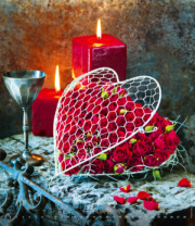 Kalendár Live Design