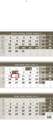 Trojmesačný kalendár šedý so špirálou