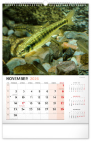 NOTIQUE Nástenný kalendár Rybársky 2026, 33 x 46 cm