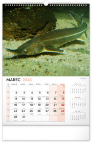 NOTIQUE Nástenný kalendár Rybársky 2026, 33 x 46 cm