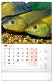 NOTIQUE Nástenný kalendár Rybársky 2026, 33 x 46 cm