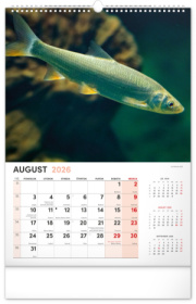 NOTIQUE Nástenný kalendár Rybársky 2026, 33 x 46 cm