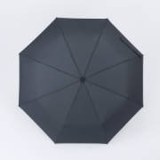 Plne automatický dáždnik Cambridge