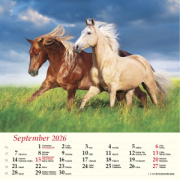 Nástenný kalendár Kone 2026