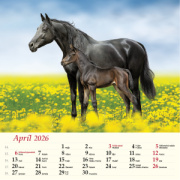 Nástenný kalendár Kone 2026