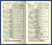 Mini diár A6 FALCON čierny 2026