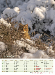 Nástenný kalendár POĽOVNÍK 2026