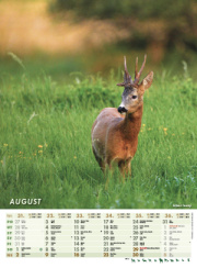 Nástenný kalendár POĽOVNÍK 2026