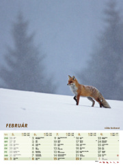 Nástenný kalendár POĽOVNÍK 2026